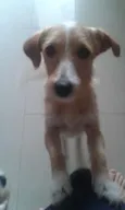 Kadu