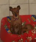 Kika e Princesa
