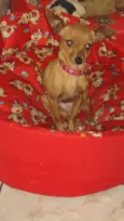 Kika e Princesa