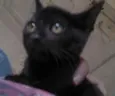 IGOR