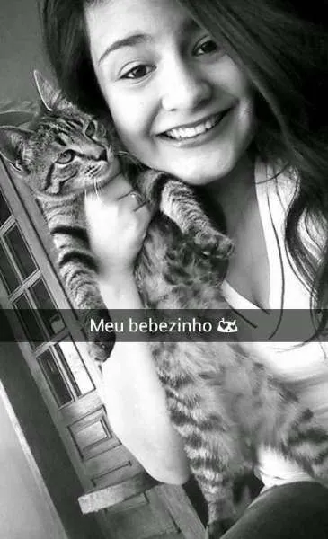 Gato raça Não confirmada idade 7 a 11 meses nome April