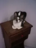JHONNY