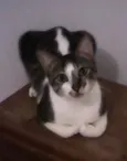 JHONNY