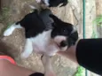 Lulu, ninda e six
