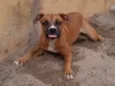 lua