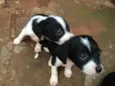 Lulu, ninda e six