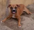 lua
