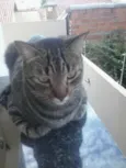 Tomé