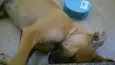 No Name