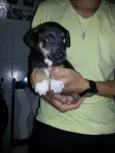 Princesa