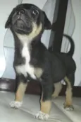 Princesa