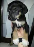 Princesa