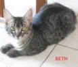 Beth