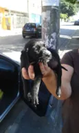 Maitê