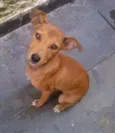 Mel