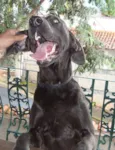 Zeus