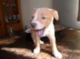 Sem nome (Marley)