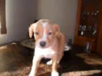 Sem nome (Marley)