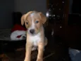 Sem nome (Marley)