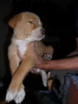Sem nome (Marley)
