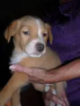 Sem nome (Marley)