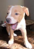 Sem nome (Marley)