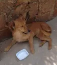..