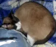 Lili