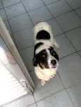 Peppa