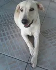 CUCA