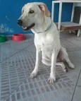 CUCA