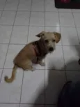 Mel
