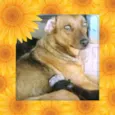 Mãezinha