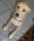 Mel