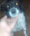 bia