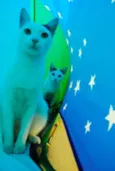 Ed & Motta
