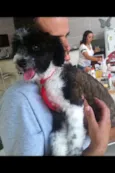 JUQUINHA