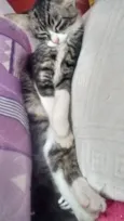 Linda 