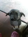 nao tem