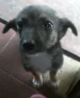 nao tem