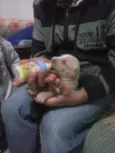 Laylla e neguinho