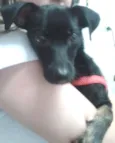 Jully