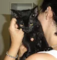 Luizinho