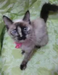 Linda