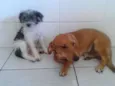 JOÃO,MARIA,MEL,2 FI