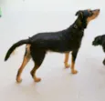DIK