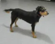 DIK