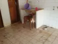 pity