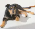 DIK