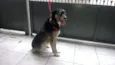 KIKA
